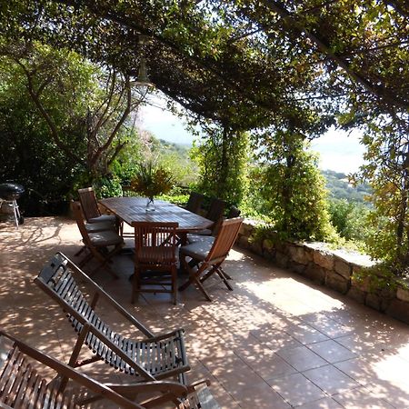 Villas Valinco San Martinu Corse Du Sud - Vue Et Proche Mer - Piscines-7 Chambres Olmeto  Rom bilde