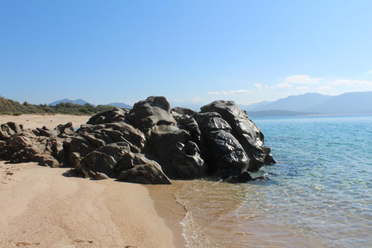 Villas Valinco San Martinu Corse Du Sud - Vue Et Proche Mer - Piscines-7 Chambres Olmeto  Eksteriør bilde