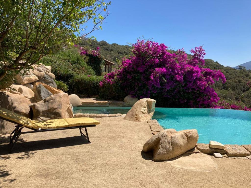 Villas Valinco San Martinu Corse Du Sud - Vue Et Proche Mer - Piscines-7 Chambres Olmeto  Eksteriør bilde